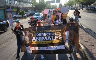 Con marcha piden por derechos de los animales en Celaya [Video-Galería]