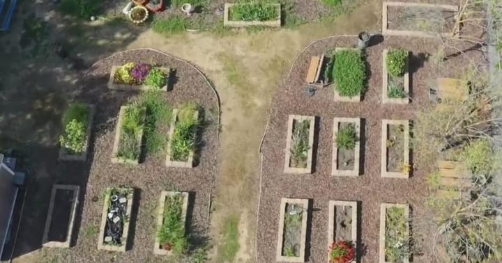 Beloved school garden in Elk Grove on brink of being uprooted for portable