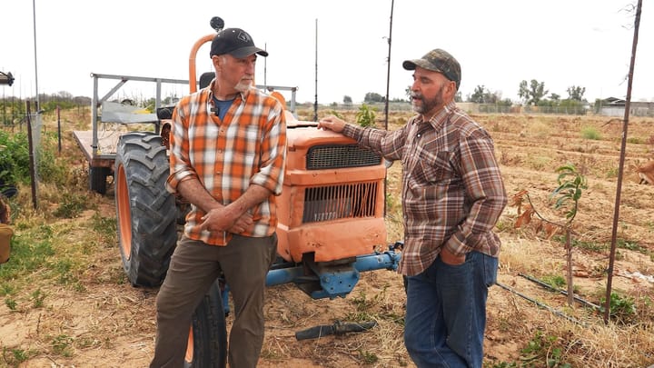 Israel's Gaza-Area Farmers Touched by American Volunteers with 'Big Hearts' Who Helped Rescue Wartime Crops