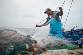 Produce financió con S/2,6 millones en créditos a pescadores artesanales y acuicultores del país.