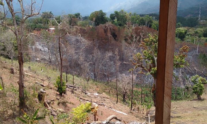 Incendios forestales afectan zona boscosa entre Pedro Santana y Dajabón