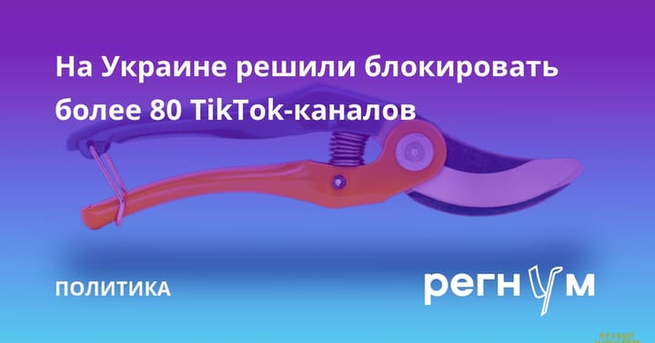 На Украине решили блокировать более 80 TikTok-каналов