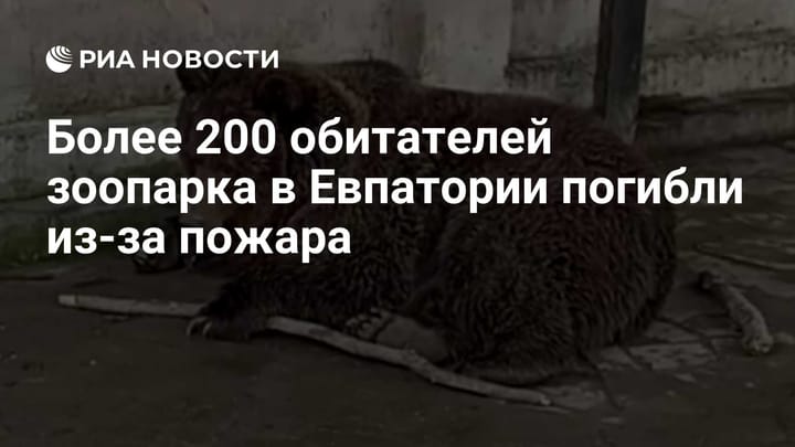 Более 200 обитателей зоопарка в Евпатории погибли из-за пожара