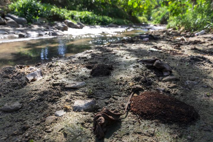 Río Tireo por el que luchaba ambientalista ultimado se encuentra "totalmente deforestado"