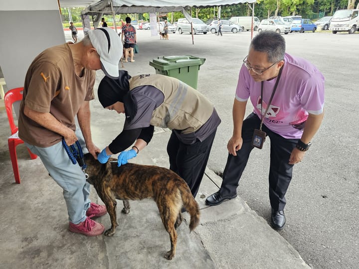 Mayor: Crucial to instil responsible pet ownership among owners to stem rabies outbreak in S'wak