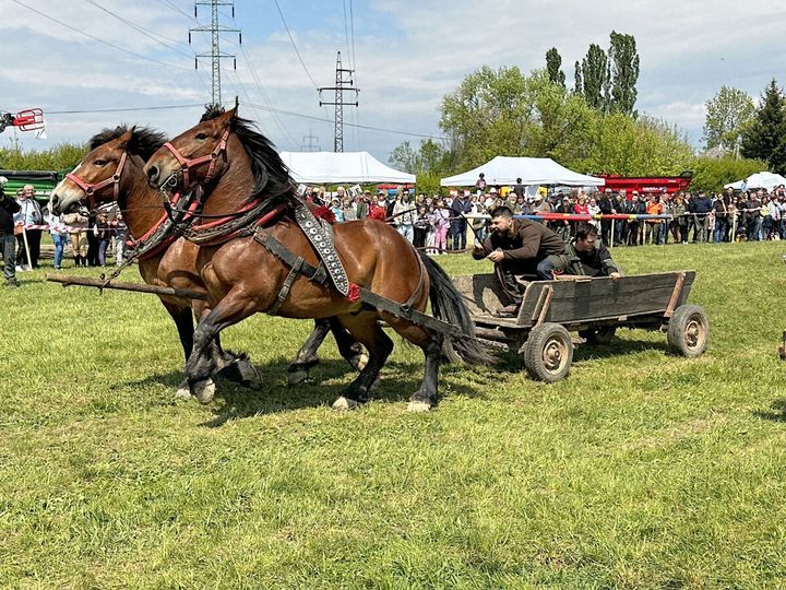 Furmani predviedli svoju šikovnosť. Jar na farme do Lučenca prilákala tisícky ludí