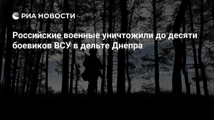 Российские военные уничтожили до десяти боевиков ВСУ в дельте Днепра