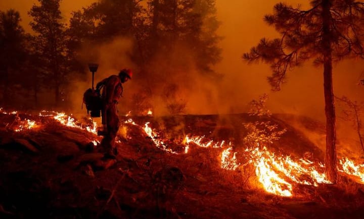 Consume fuego aproximadamente 5 hectáreas entre Madero y Morelia