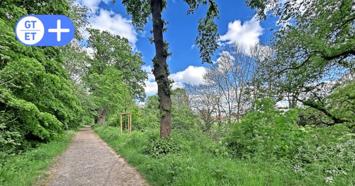 Landesgartenschau 2030: Duderstadts Ideen vom Baumkronenpfad am Wall bis zum Brehmestrand