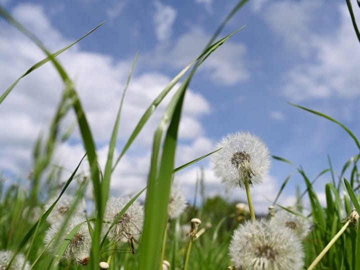 Sonne, Wolken, Schauer: Das HSK-Wetter rund um den Feiertag