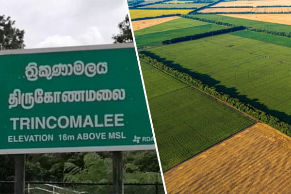 திருகோணமலையில் அபகரிக்கப்படும் தனியார் நிலங்கள்! கவலை வெளியிட்டுள்ள மக்கள் - தமிழ்வின்