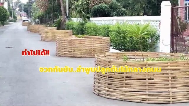 (คลิป)ถึงกาลอาวสาน!รื้อแล้วเสวียนปลูกต้นไม้บนถนนกลางเมืองลำพูน หลังเจอวิจารณ์ยับ