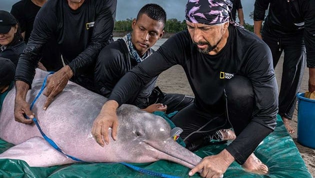 National Geographic nombra a Fernando Trujillo como Explorador del año | Periódico Zócalo | Noticias de Saltillo, Torreón,  Piedras Negras, Monclova, Acuña