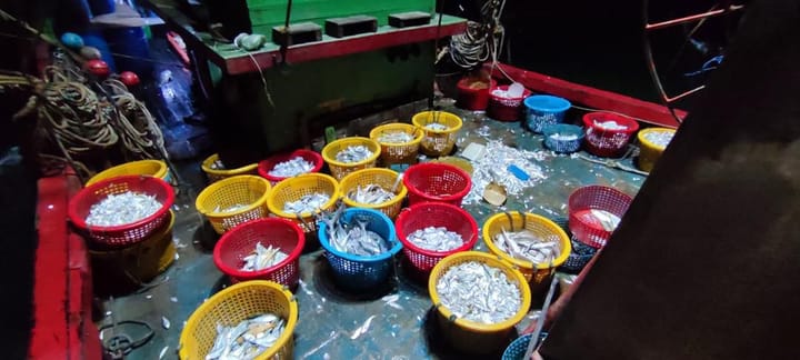 MMEA detains local fishing boat near Tg Po with 100kg catch on board