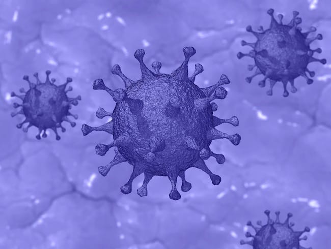 Coronavirus Marche, i dati del periodo 9-15 maggio 2024