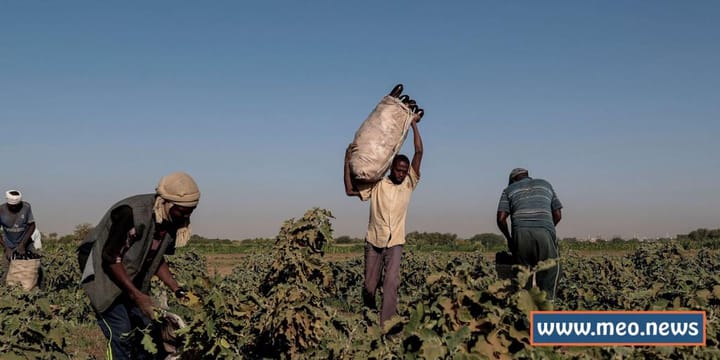 الحرب المستمرة في السودان تخلف اقتصادا مدمرا | MEO