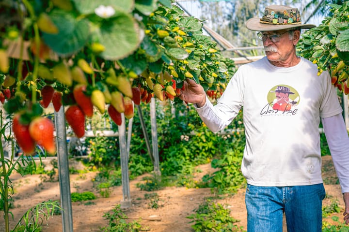 Israel now has its own Strawberry Fields  --  to honor a hostage whose body was just recovered in Gaza