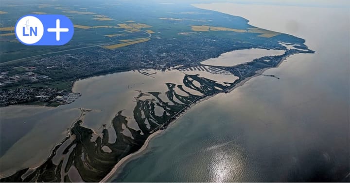 Besucher aus aller Welt: Was das Vogelschutzgebiet auf Heiligenhafen so einzigartig macht