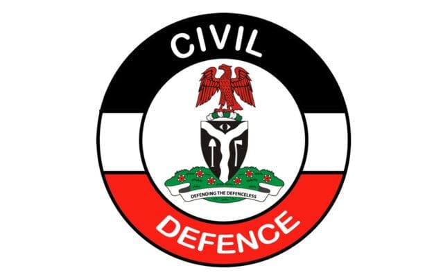 NSCDC arrests 5 suspected vandals in Kano - Daily Trust