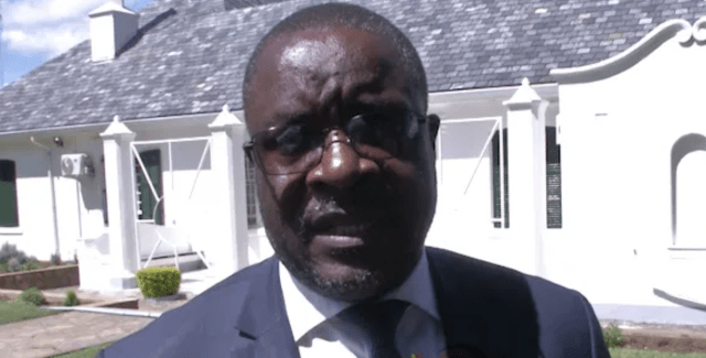 Mnangagwa's Spokesman Responds to Chivayo Leak Controversy