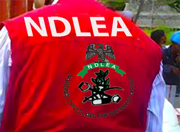 You Can Be Winners Without Drugs, NDLEA Boss Tells Athletes