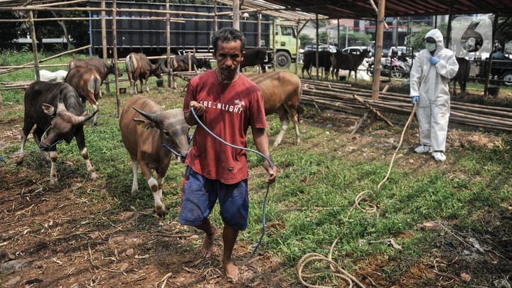 Jelang Idul Adha, Kesehatan 78 Ribu Hewan Kurban Masuk Jakarta Telah Diperiksa