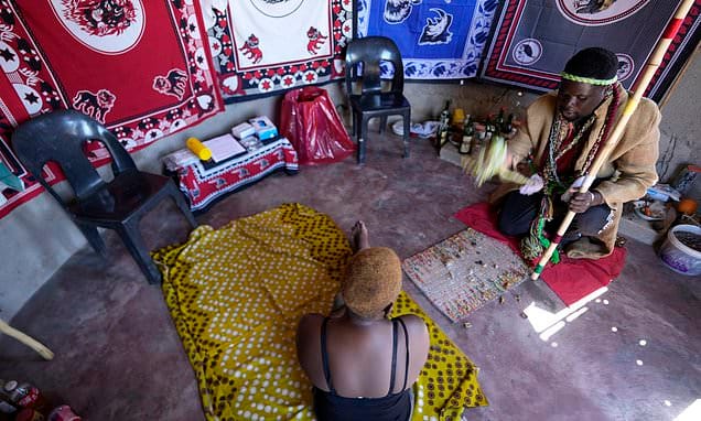 In South Africa, traditional healers join the fight against HIV....