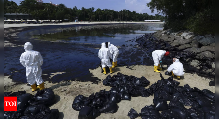 Singapore intensifies oil spill clean up after it spreads along coast - Times of India