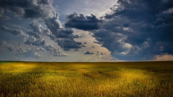 Mano ūkis - Klimato planas: žemdirbiai ragina neprisirašyti nepamatuotų ambicijų