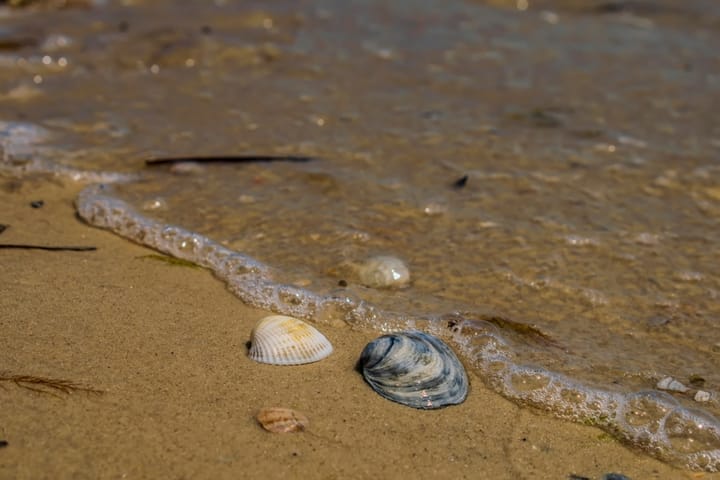 Prețurile au luat-o razna complet: stațiunea care concurează cu Mamaia, din acest punct de vedere