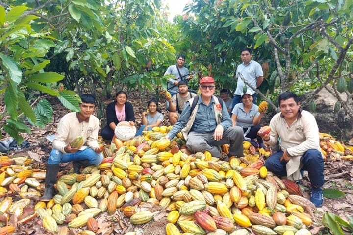 VRAEM: productores exportan 150 toneladas de cacao orgánico a...