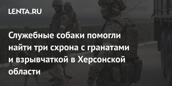 Служебные собаки помогли найти три схрона с гранатами и взрывчаткой в Херсонской области