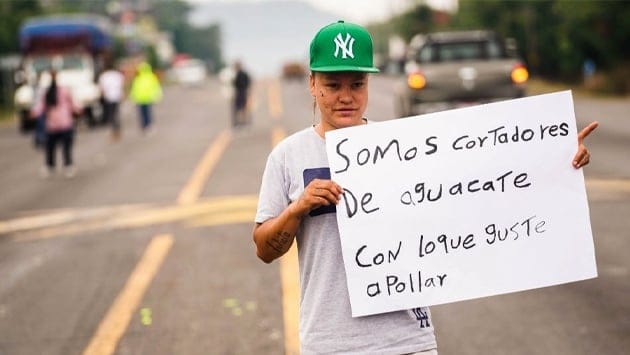 Bloquean cortadores de aguacate para pedir ayuda a automovilistas | Periódico Zócalo | Noticias de Saltillo, Torreón,  Piedras Negras, Monclova, Acuña